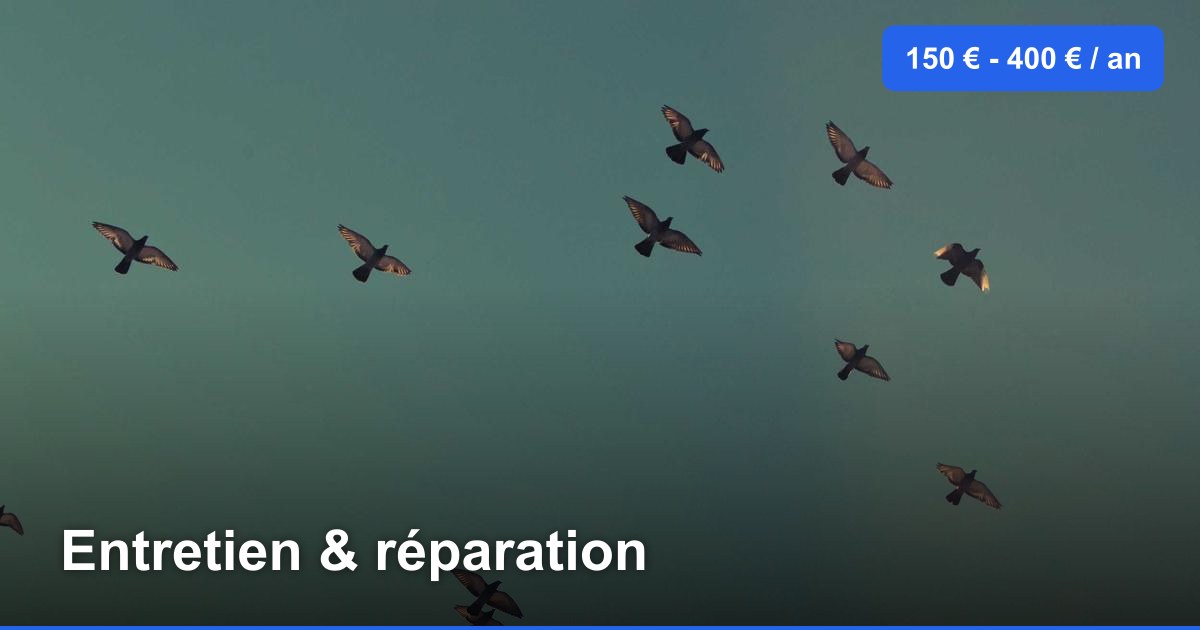 Entretien & réparation dans l'arrondissement de Ostende